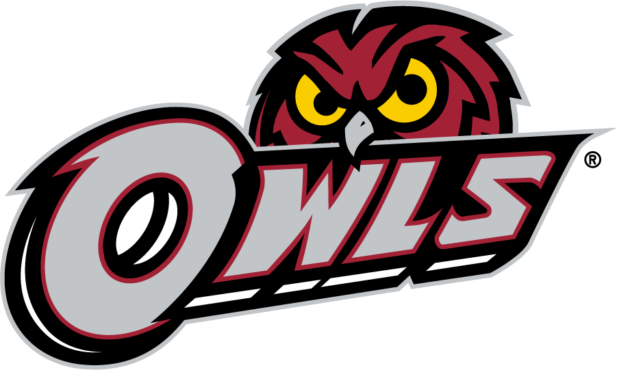 Temple Owls 2014-2020 Secondary Logo v3 diy DTF decal sticker